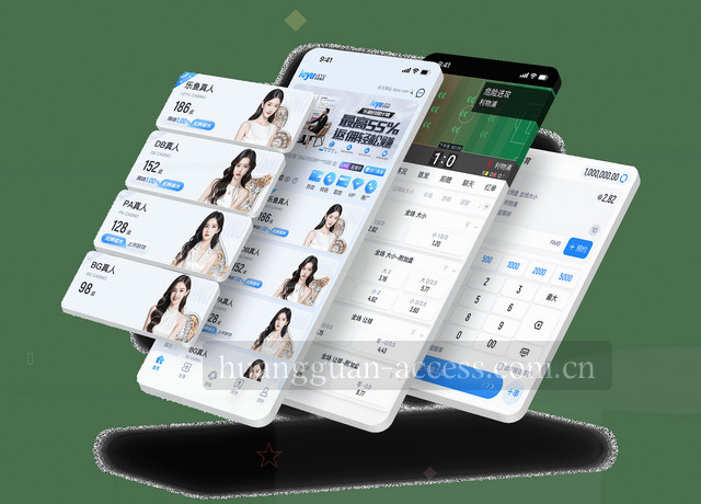 机房蓝光下的移动端服务地图